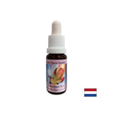 Removes energy blockages - Chestnut Bud Essence No. 7, drops 15 ml - Nutra Best Europe