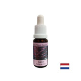 Increases self-esteem - Larch Essence No. 19, drops 15 ml - Nutra Best Europe