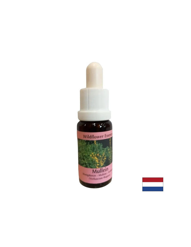 Supports teamwork and creativity - Lopen Essence No. 29, drops 15 ml - Nutra Best Europe