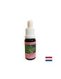 Supports teamwork and creativity - Lopen Essence No. 29, drops 15 ml - Nutra Best Europe