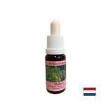 Supports teamwork and creativity - Lopen Essence No. 29, drops 15 ml - Nutra Best Europe