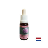 Stimulates willpower and metabolism - Onion Essence No. 39, drops 15 ml - Nutra Best Europe