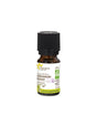 Geranium essential oil, BIO, 5 ml - Nutra Best Europe