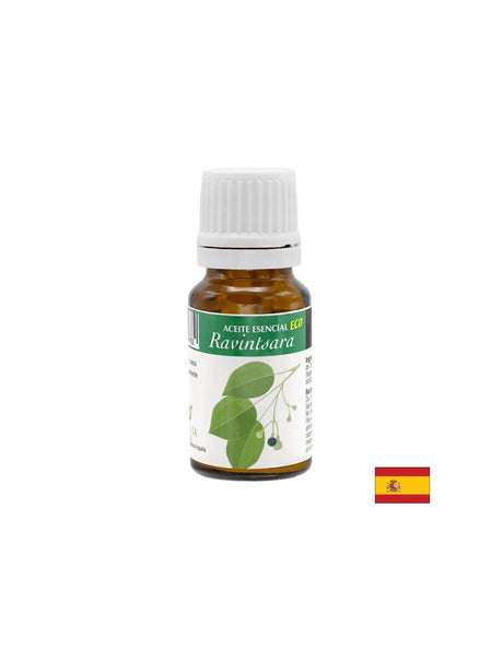 Camphor tree essential oil, 10 ml - Nutra Best Europe