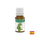 Camphor tree essential oil, 10 ml - Nutra Best Europe
