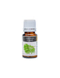 Stress and good mood - Cypress essential oil, 10 ml - Nutra Best Europe