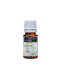 With anti-inflammatory and pain-relieving effect - Fennel essential oil - Aceite Esencial Hinojo, 10 ml - Nutra Best Europe