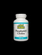 Phosphatidyl Choline 420 mg - 90 Softgels - Nutra Best Europe