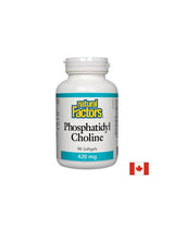 Phosphatidyl Choline 420 mg - 90 Softgels - Nutra Best Europe