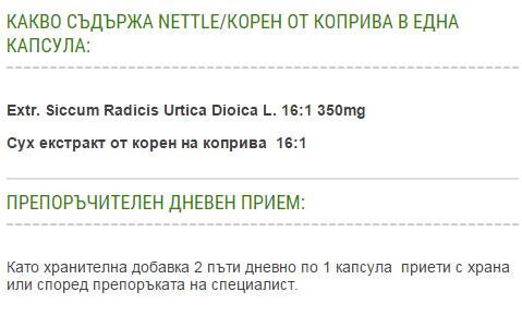 Nettle - 60 capsules - Nutra Best Europe