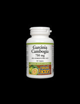 Garcinia Cambogia 750 mg - 90 Tablets - Nutra Best Europe