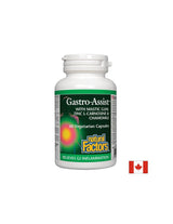 Mastic, Zinc Carnosine and Chamomile for a Calm Stomach - Gastro Assist™, 60 capsules - Nutra Best Europe