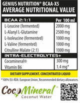 BCAA X5 Liquid Shot - 100 ml - Nutra Best Europe