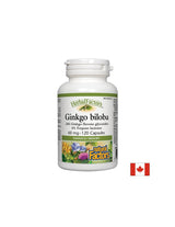 Ginkgo Biloba 60 mg - 120 capsules - Nutra Best Europe