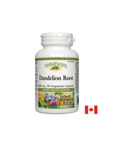 Dandelion Root 425 mg - 90 capsules - Nutra Best Europe