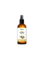 Skin care - Sea buckthorn oil, 100 ml - Nutra Best Europe