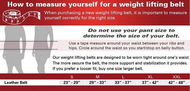 Training leather belt / 15 cm wide - Nutra Best Europe