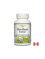Hawthorn - Strength for the heart, balance for the nervous system, 465 mg, 60 capsules - Nutra Best Europe
