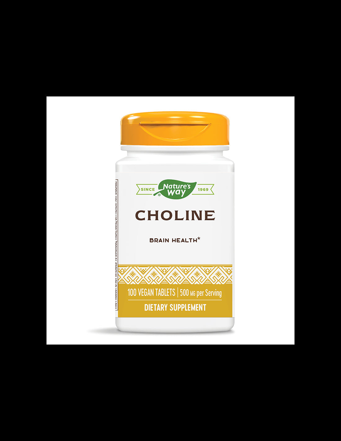 Choline 500 mg - 100 Tablets - Nutra Best Europe