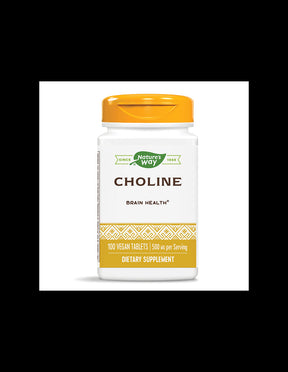 Choline 500 mg - 100 Tablets - Nutra Best Europe