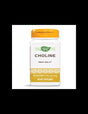 Choline 500 mg - 100 Tablets - Nutra Best Europe