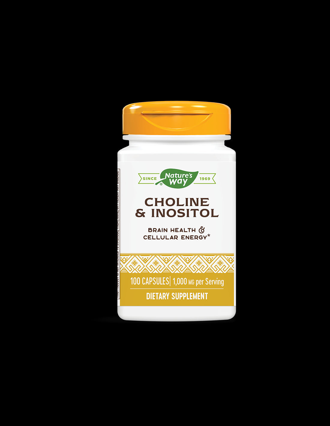 Choline 250 mg & Inositol 250 mg - 100 capsules - Nutra Best Europe
