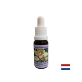 Coordinates healing energies - Essence Coordinating Orchid No. 8, drops 15 ml - Nutra Best Europe
