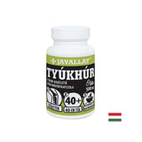 Bones and joints - Stellaria, 500 mg x 60 capsules - Nutra Best Europe