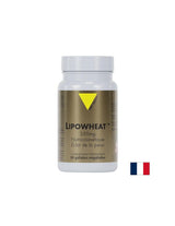Beautiful skin - Phyto Ceramides Lipowheat™, 350 mg x 30 capsules - Nutra Best Europe