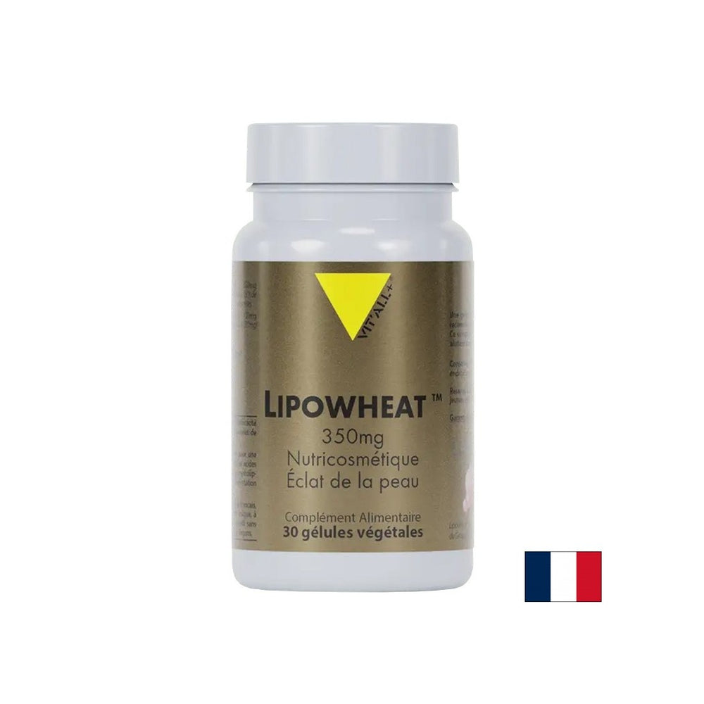 Beautiful skin - Phyto Ceramides Lipowheat™, 350 mg x 30 capsules - Nutra Best Europe