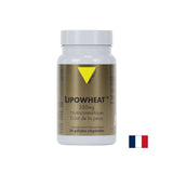 Beautiful skin - Phyto Ceramides Lipowheat™, 350 mg x 30 capsules - Nutra Best Europe