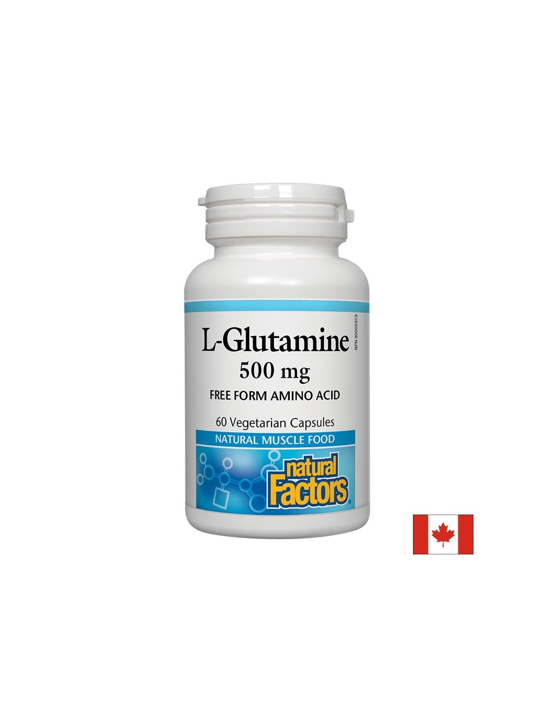 For the intestinal barrier and muscle function - L-glutamine, 500 mg, 60 capsules Natural Factors - Nutra Best Europe