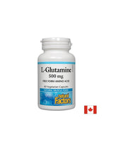 For the intestinal barrier and muscle function - L-glutamine, 500 mg, 60 capsules Natural Factors - Nutra Best Europe