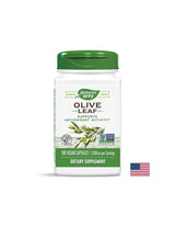 Olive Leaf 500 mg - 100 capsules - Nutra Best Europe