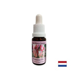 Promotes positivity - Honeysuckle Essence No. 16, drops 15 ml - Nutra Best Europe