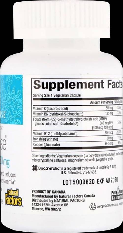 Iron Sense 668 mg - 60 capsules - Nutra Best Europe