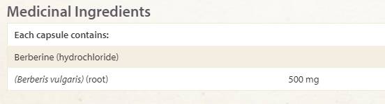 WellBetX Berberine 500 mg - 60 capsules - Nutra Best Europe