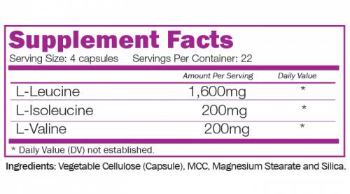 BCAA 8:1:1 - 90 capsules - Nutra Best Europe