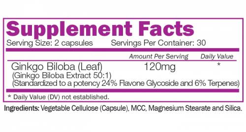 Ginkgo Biloba Extract 120 mg 60 capsules - Nutra Best Europe
