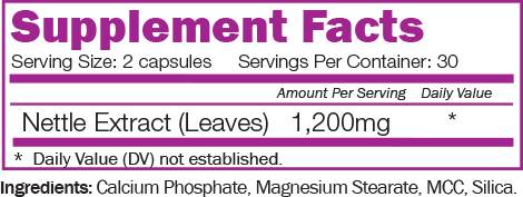 Nettle Max - 60 capsules - Nutra Best Europe