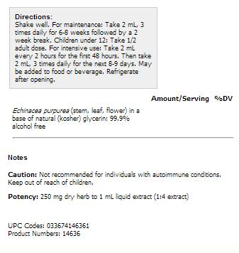 Echinacea 30 ml - 30 ml - Nutra Best Europe