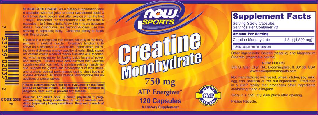 Creatine Mono - 120 capsules - Nutra Best Europe