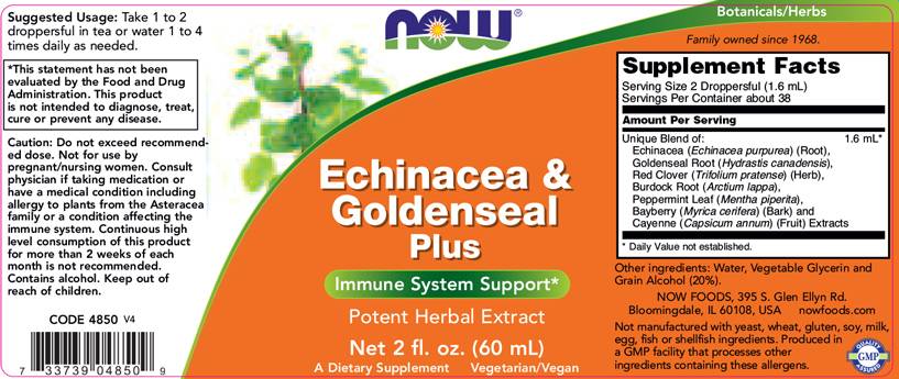 Echinacea & Goldenseal Plus - 60 ml - Nutra Best Europe