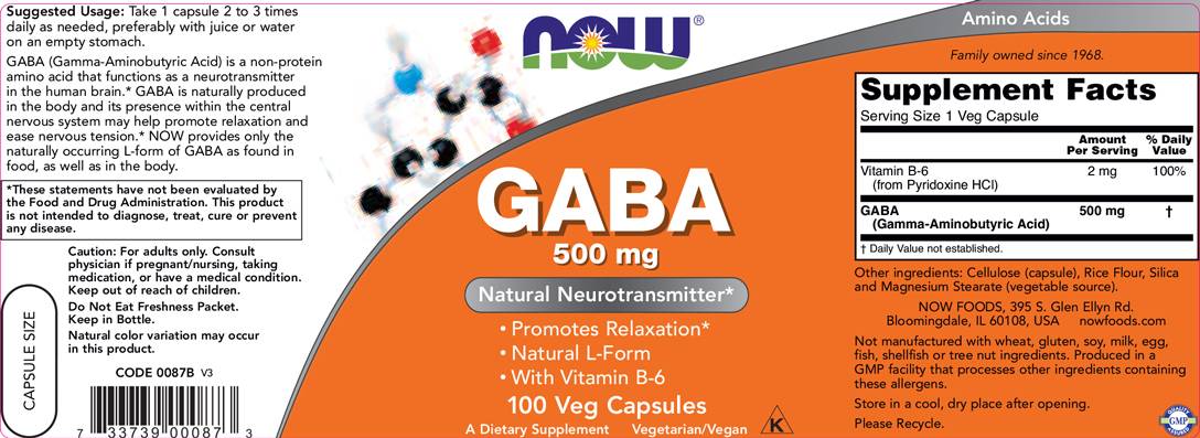 GABA 500 mg + B6 - 100 capsules - Nutra Best Europe