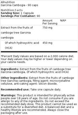 Garcinia Cambogia 750mg | of which 450 mg HCA - 90 capsules - Nutra Best Europe