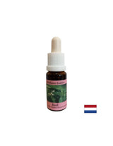 Unites the energy centers, for good digestion - Basil Essence No. 23, drops 15 ml - Nutra Best Europe