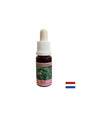 Unites the energy centers, for good digestion - Basil Essence No. 23, drops 15 ml - Nutra Best Europe