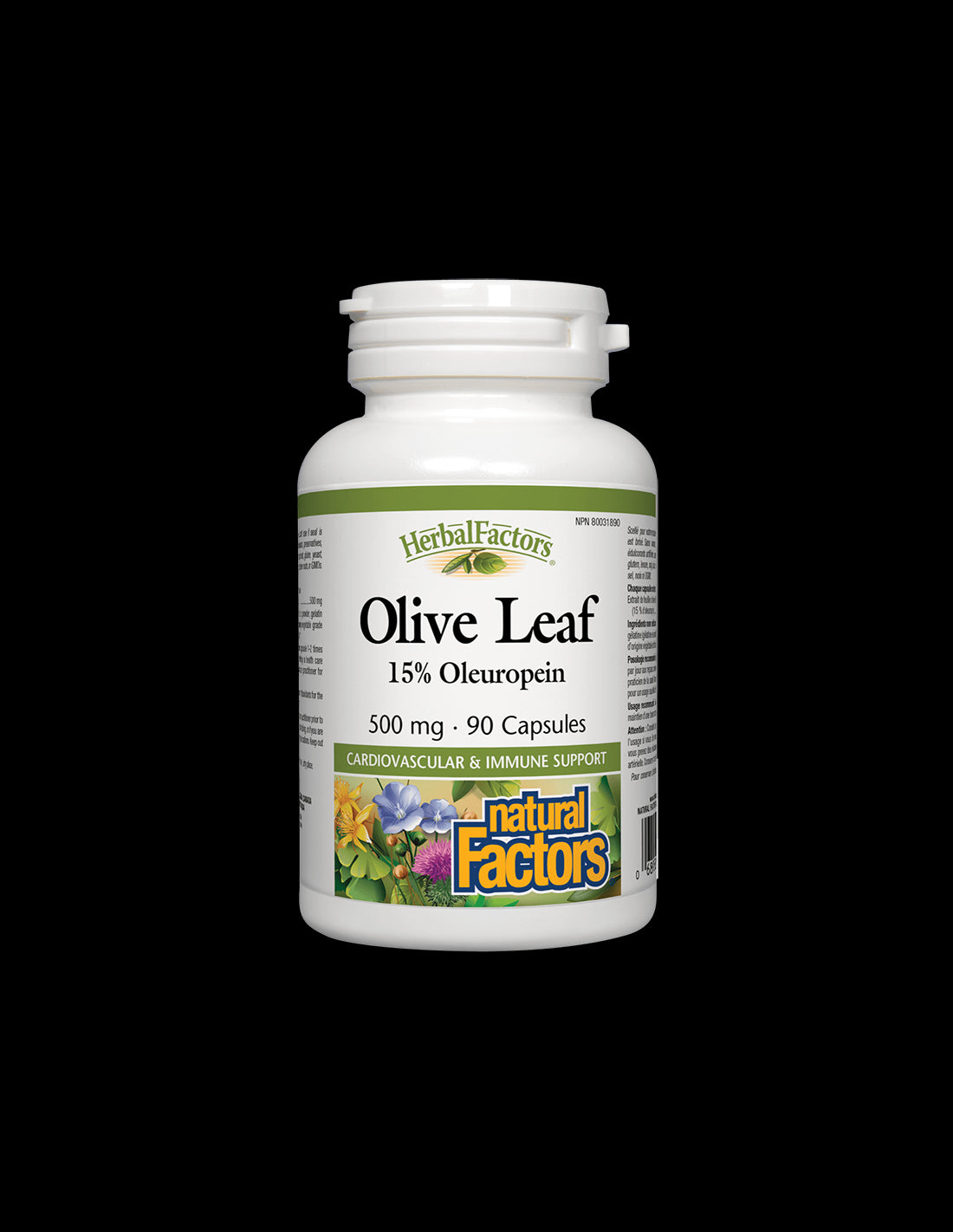 Olive Leaf 500 mg - 90 capsules - Nutra Best Europe