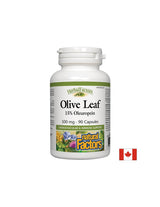 Olive Leaf 500 mg - 90 capsules - Nutra Best Europe