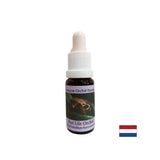 Awareness of the present through the lessons of the past - Past Life Orchid Essence No. 16, drops 15 ml - Nutra Best Europe